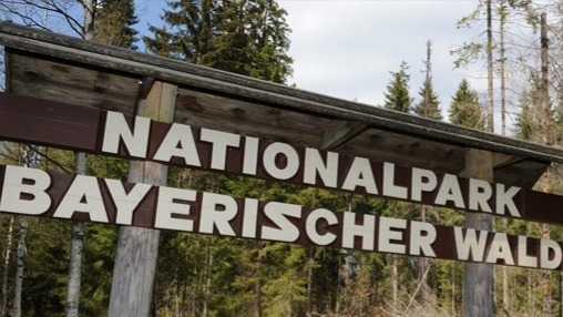 Erlebnisurlaub im Bayrischen Wald